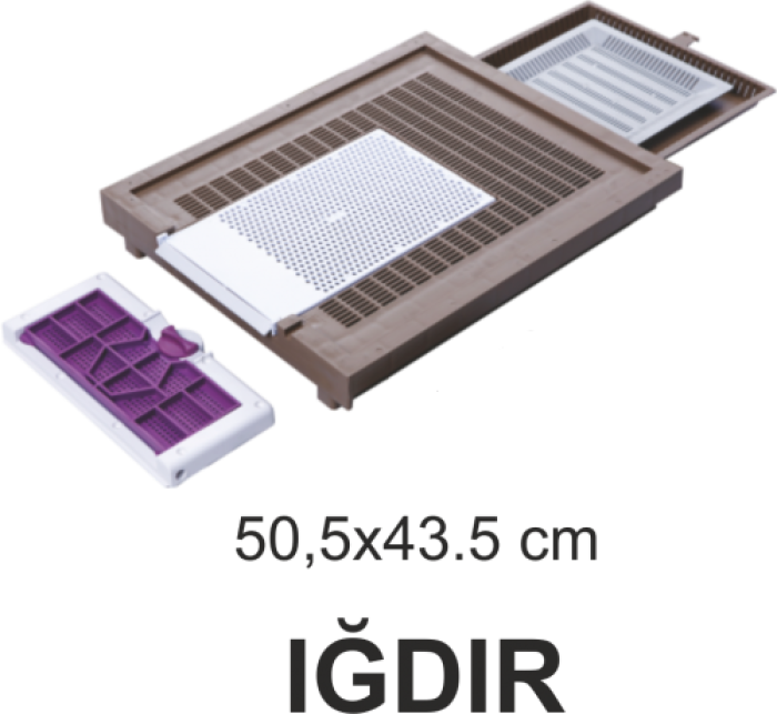 Iğdır Tipi Taban